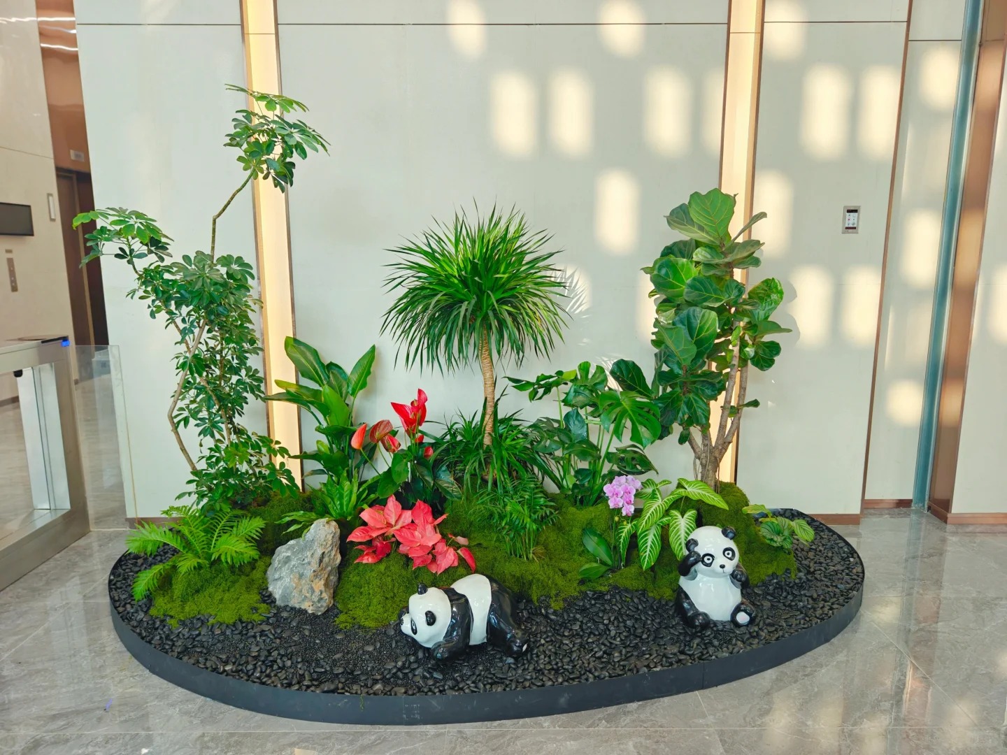 专业的鄞州植物租摆，为空间注入生机与自然之美！
